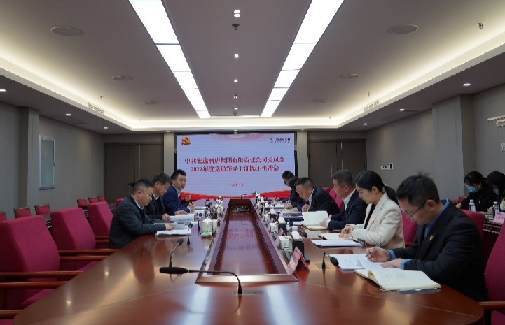 J9九游会集团党委书记、董事长任丁出席安逸酒店集团2022年度党员领导干部民主生活会